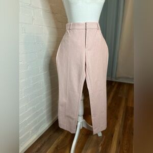 NWT Banana Republic Striped Pink Pants size 6P
